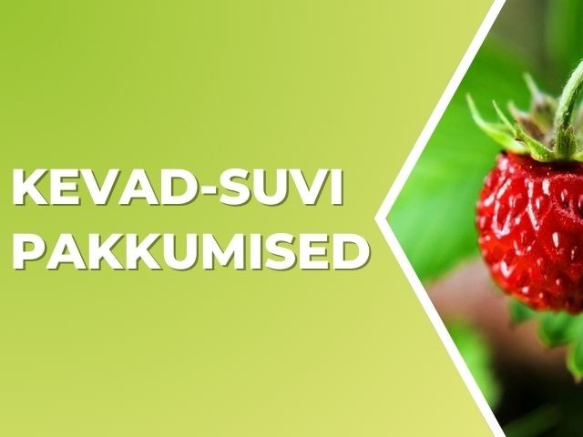 Kevad-suvi pakkumised 2025